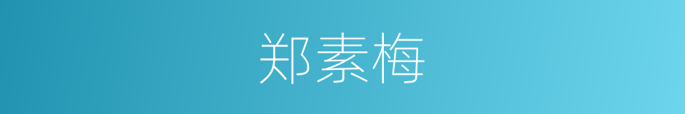 郑素梅的同义词