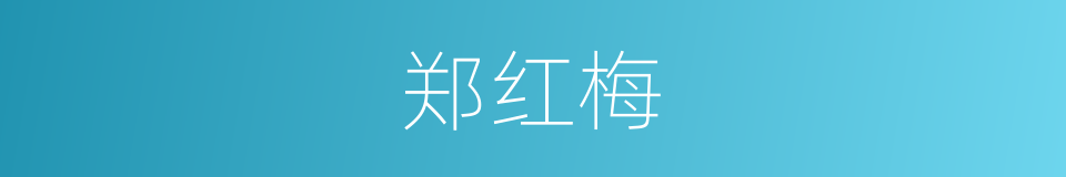 郑红梅的同义词