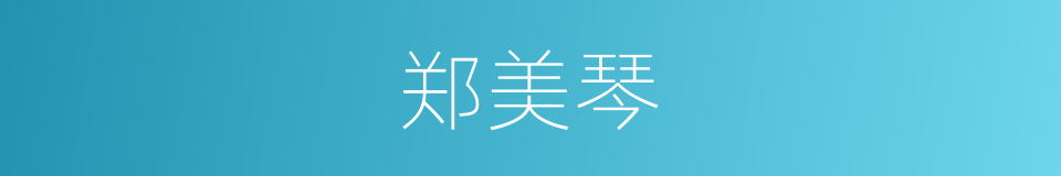 郑美琴的同义词