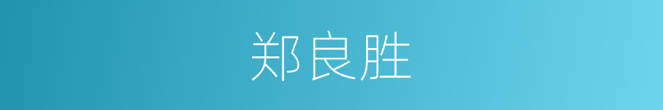 郑良胜的同义词