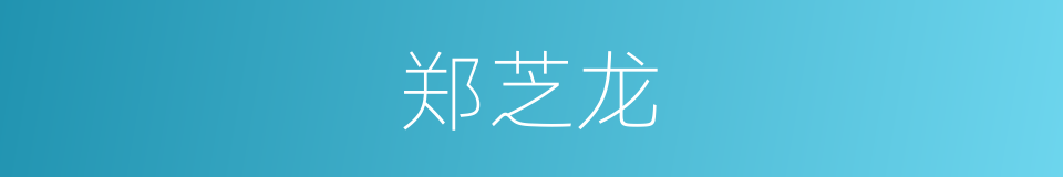 郑芝龙的同义词