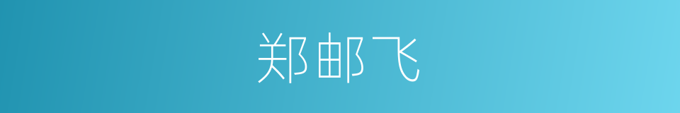 郑邮飞的同义词