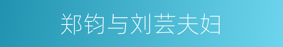 郑钧与刘芸夫妇的同义词