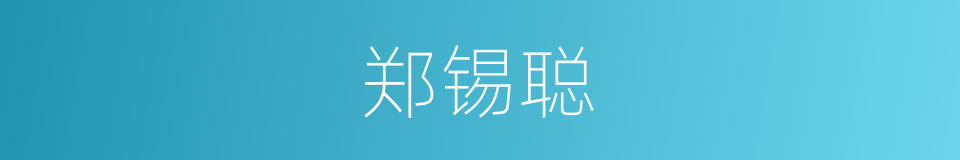 郑锡聪的同义词