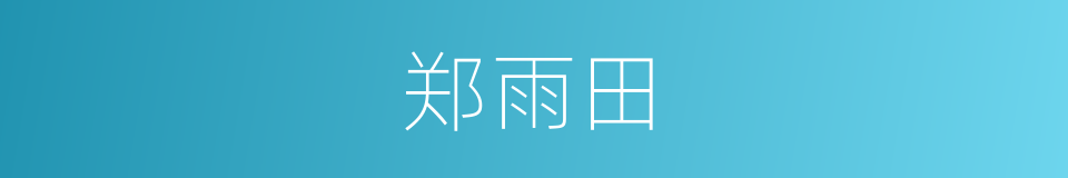 郑雨田的同义词