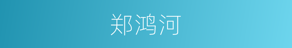 郑鸿河的同义词