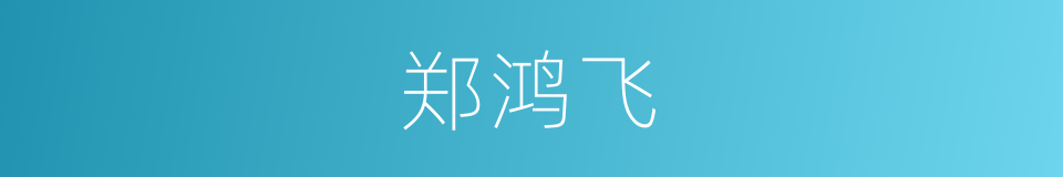 郑鸿飞的同义词