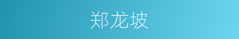 郑龙坡的同义词