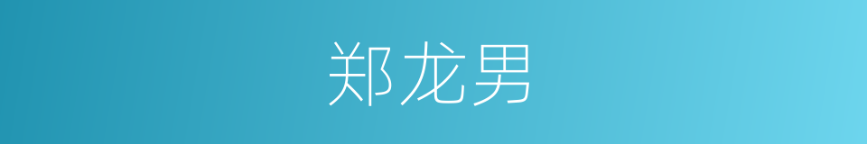 郑龙男的同义词