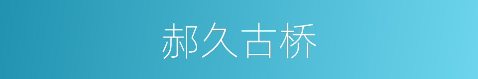 郝久古桥的同义词