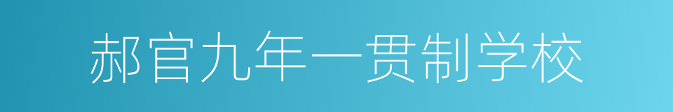 郝官九年一贯制学校的同义词