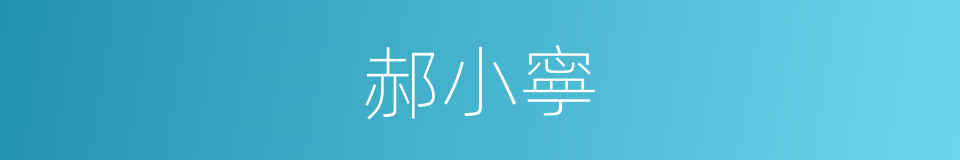 郝小寧的同義詞