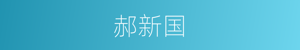 郝新国的同义词