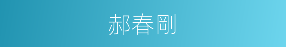 郝春剛的同義詞