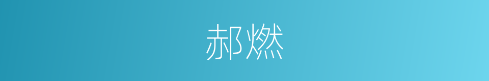 郝燃的同义词