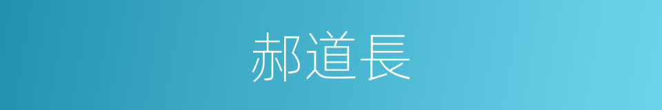 郝道長的同義詞