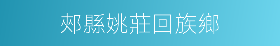 郟縣姚莊回族鄉的同義詞