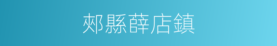 郟縣薛店鎮的同義詞