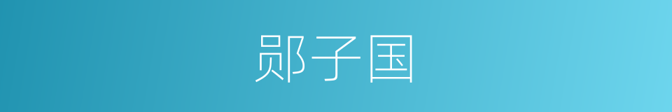 郧子国的同义词
