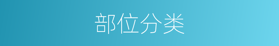 部位分类的同义词