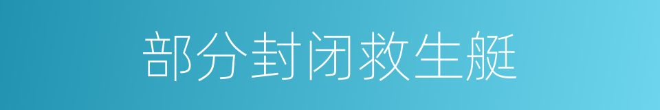 部分封闭救生艇的同义词