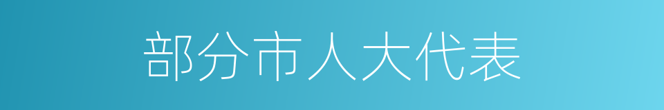 部分市人大代表的同义词