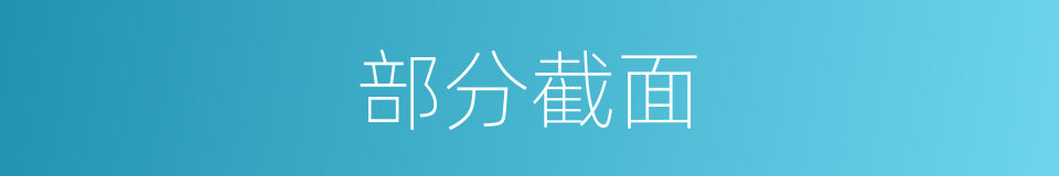 部分截面的同义词
