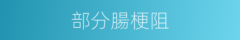 部分腸梗阻的同義詞