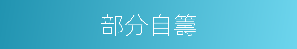 部分自籌的同義詞