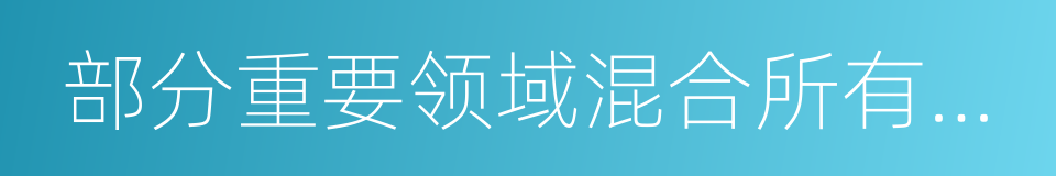 部分重要领域混合所有制改革的同义词