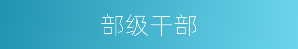 部级干部的同义词