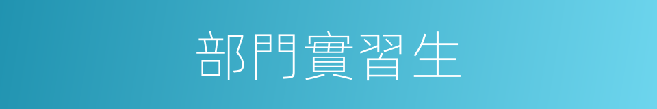 部門實習生的同義詞