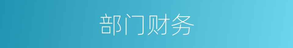 部门财务的同义词