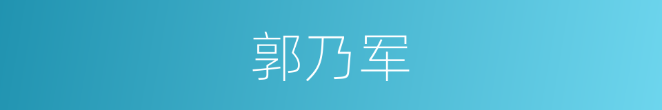 郭乃军的同义词