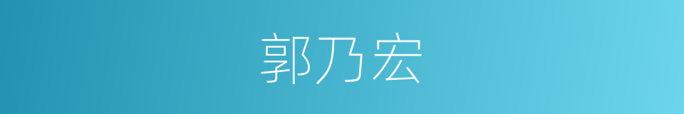 郭乃宏的同义词