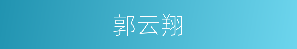郭云翔的同义词