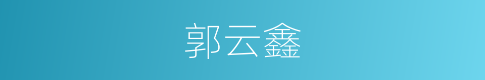 郭云鑫的同义词