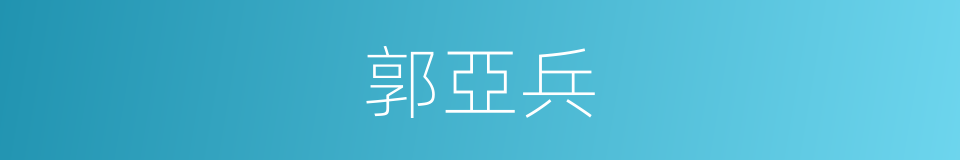 郭亞兵的同義詞