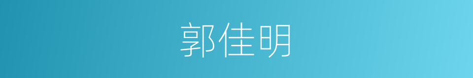 郭佳明的同义词