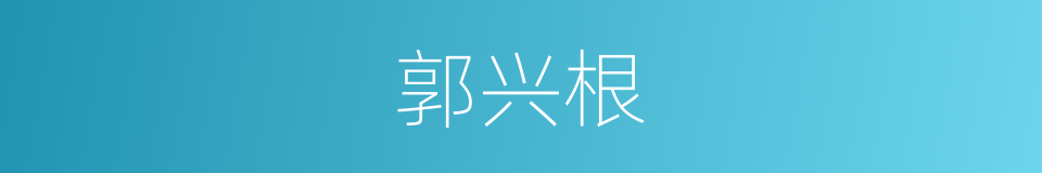 郭兴根的同义词