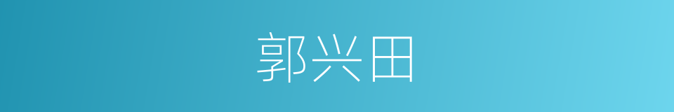 郭兴田的同义词