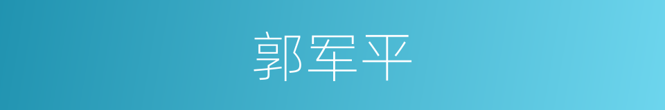 郭军平的同义词