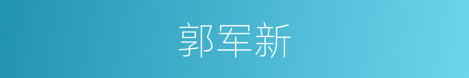 郭军新的同义词