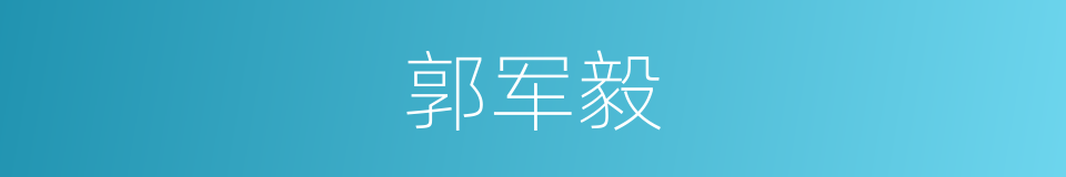 郭军毅的同义词