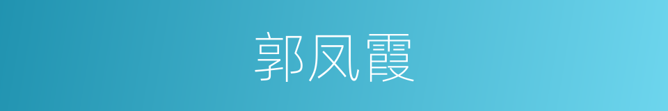 郭凤霞的同义词