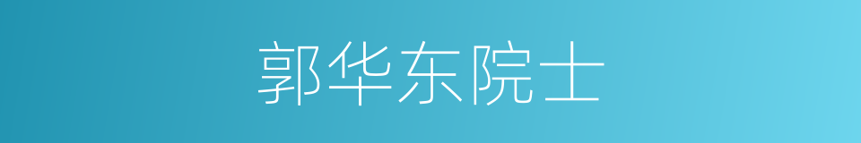 郭华东院士的同义词