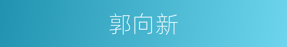 郭向新的同义词