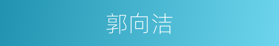 郭向洁的同义词