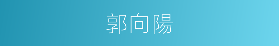 郭向陽的同義詞