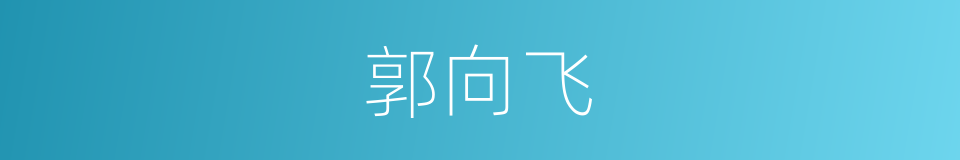 郭向飞的同义词